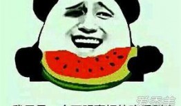 吃瓜网官网 吃瓜是什么意思,网络流行语背后的趣味与内涵